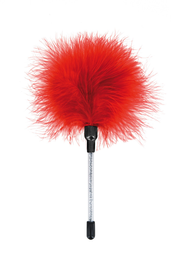 Mini Pluma
